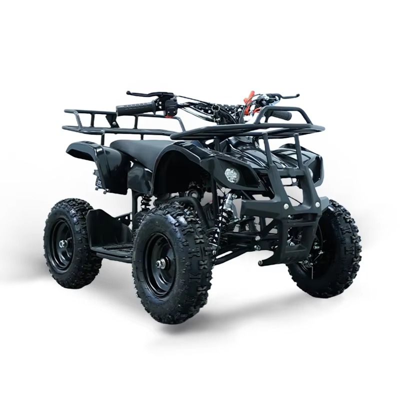 Mini ATV de 49cc para niños, c - Kids Outdoor Ride On reseña y precio